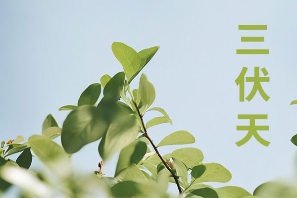 首页| 尊时凯龙中国集团官方网站